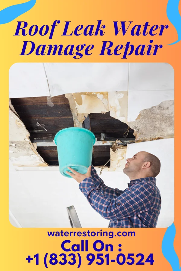 Roof Leak Water Damage Repair in Menifee, CA